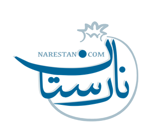 لوگوی فروشگاه نارستان
